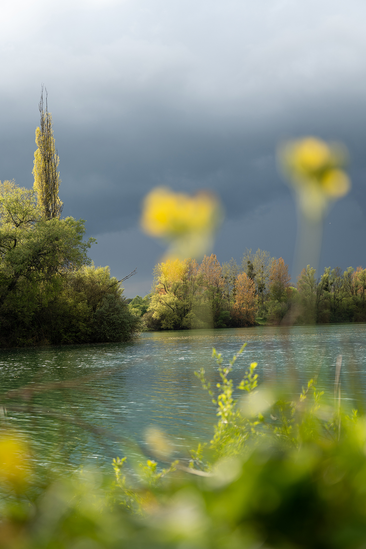 Regnerisches Wetter an französischem Baggersee.
