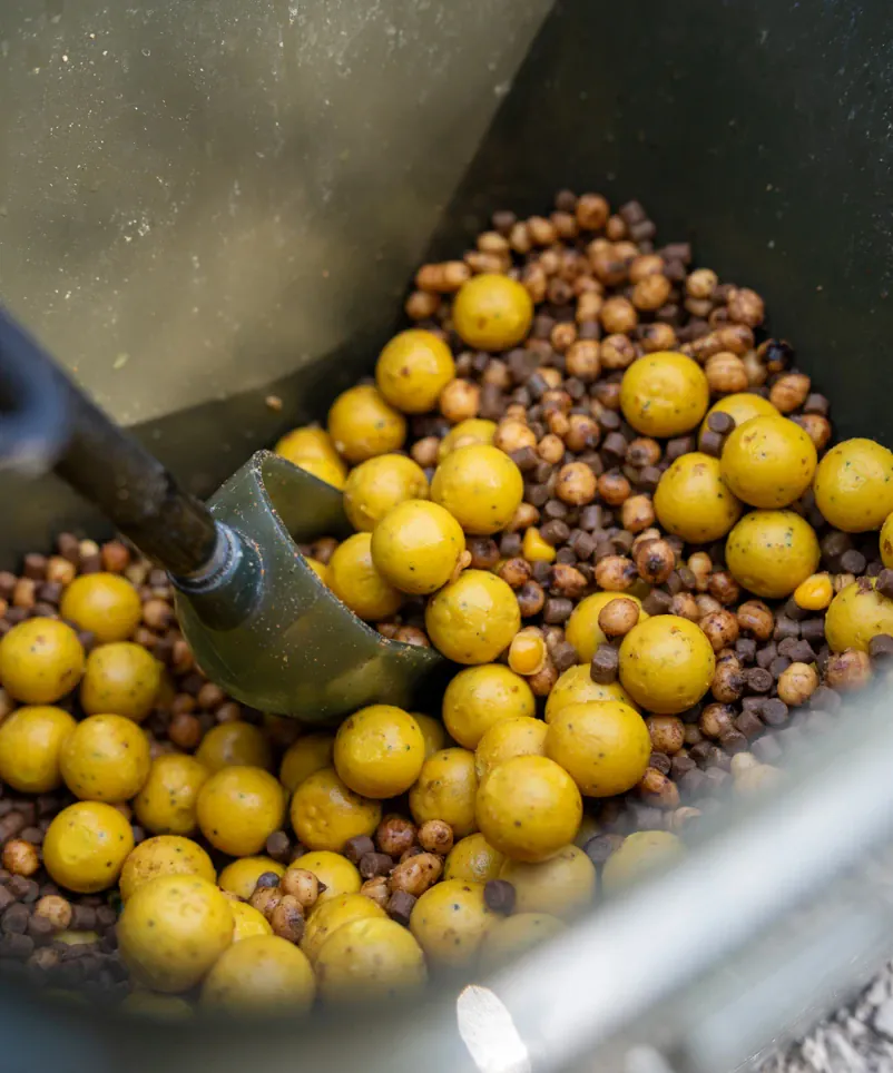 Futtermischung aus gelben Boilies, Tigernüssen und Pellets.