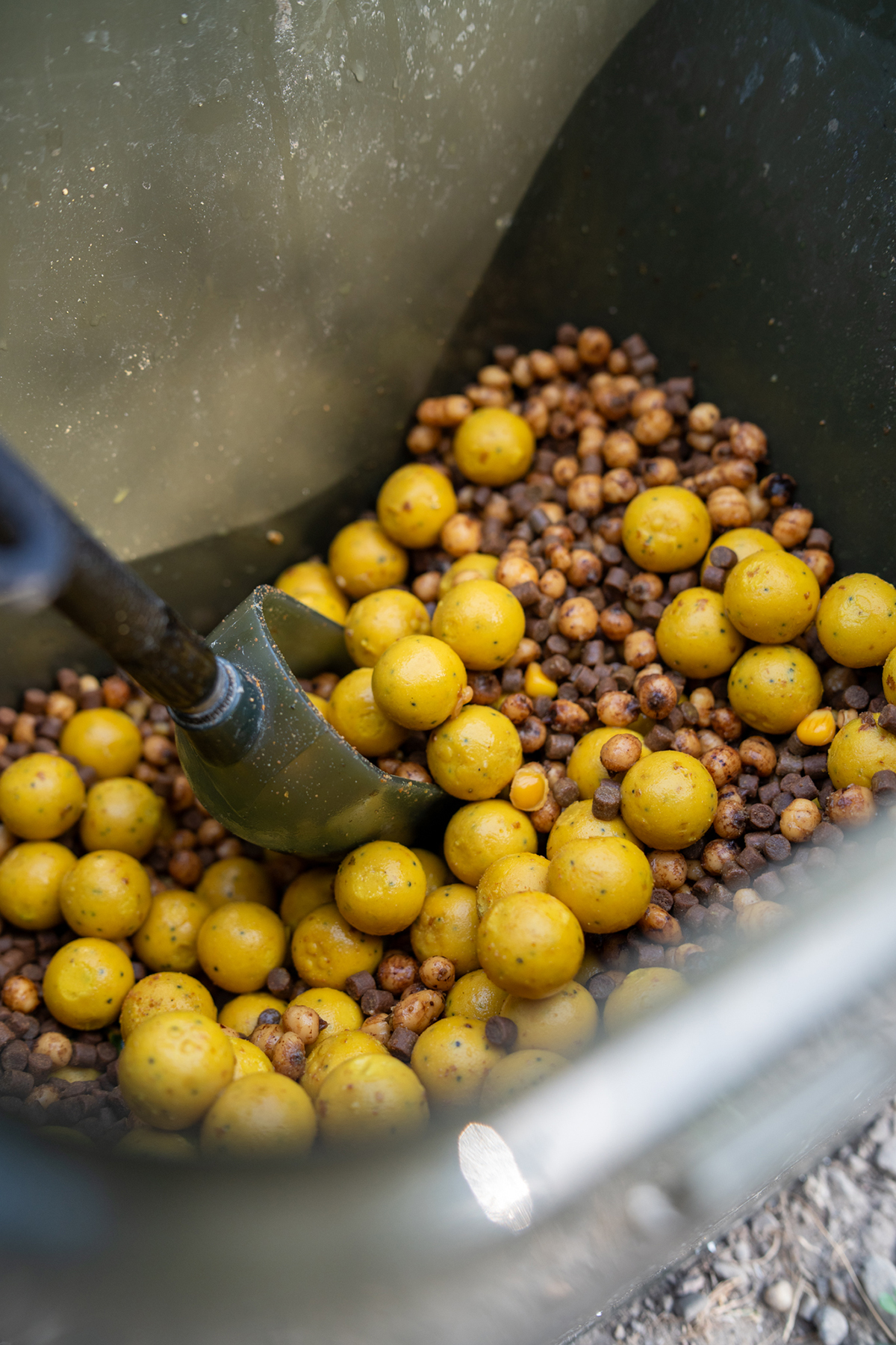 Futtermischung aus gelben Boilies, Tigernüssen und Pellets.