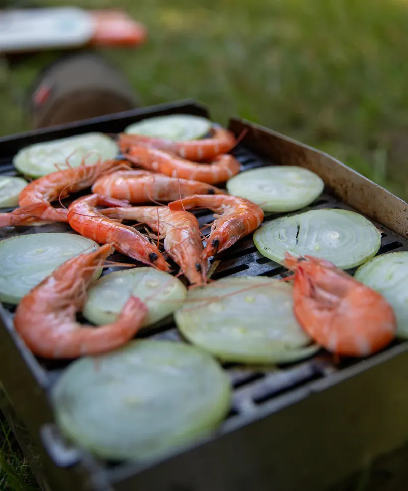 Frische Crevetten und Zwiebeln auf dem Grill.