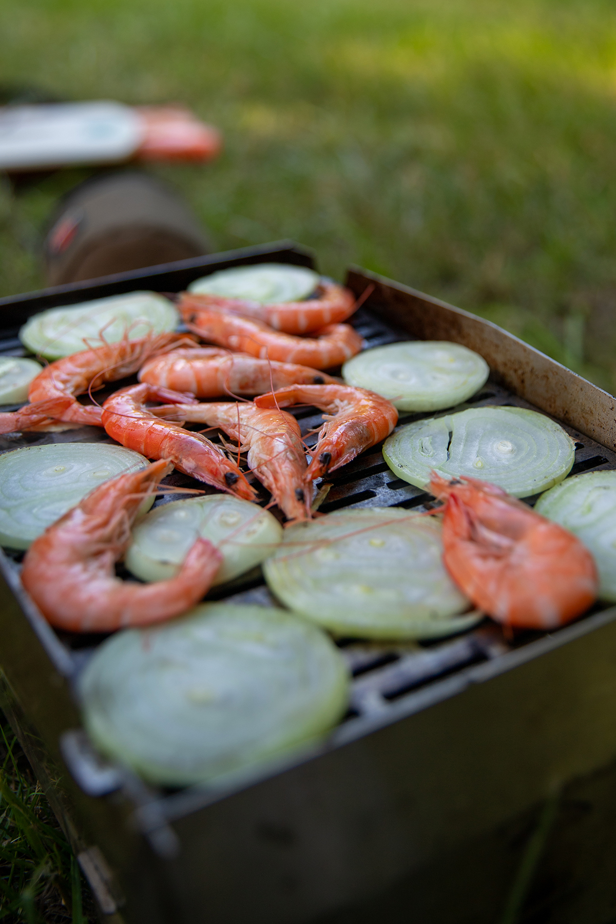 Frische Crevetten und Zwiebeln auf dem Grill.