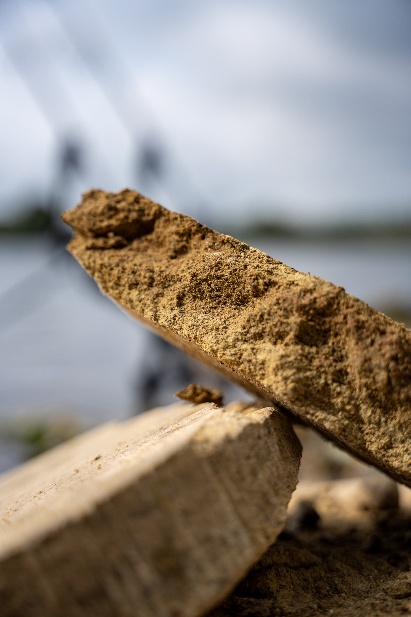 Kürbiskernplatten zum Karpfenangeln am Fluss.
