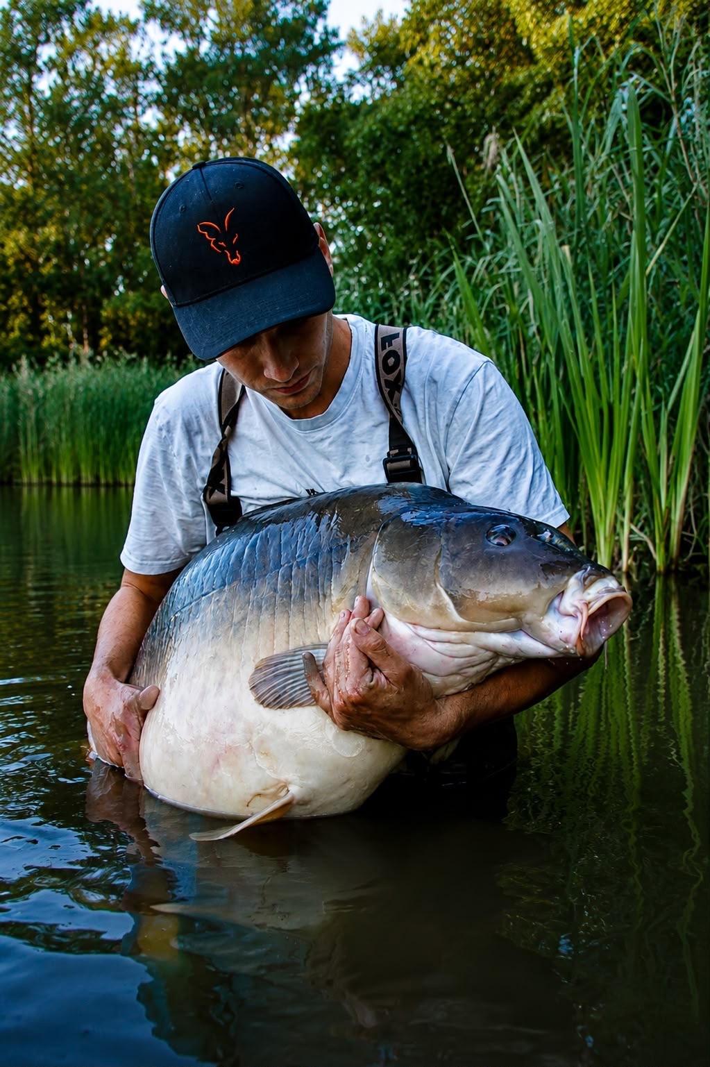 Schöner Spiegelkarpfen aus dem Steineweiler Weiher