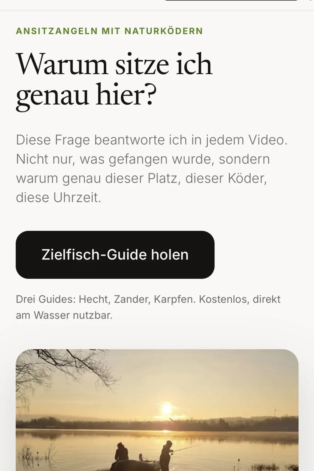 Website von LiverunTV