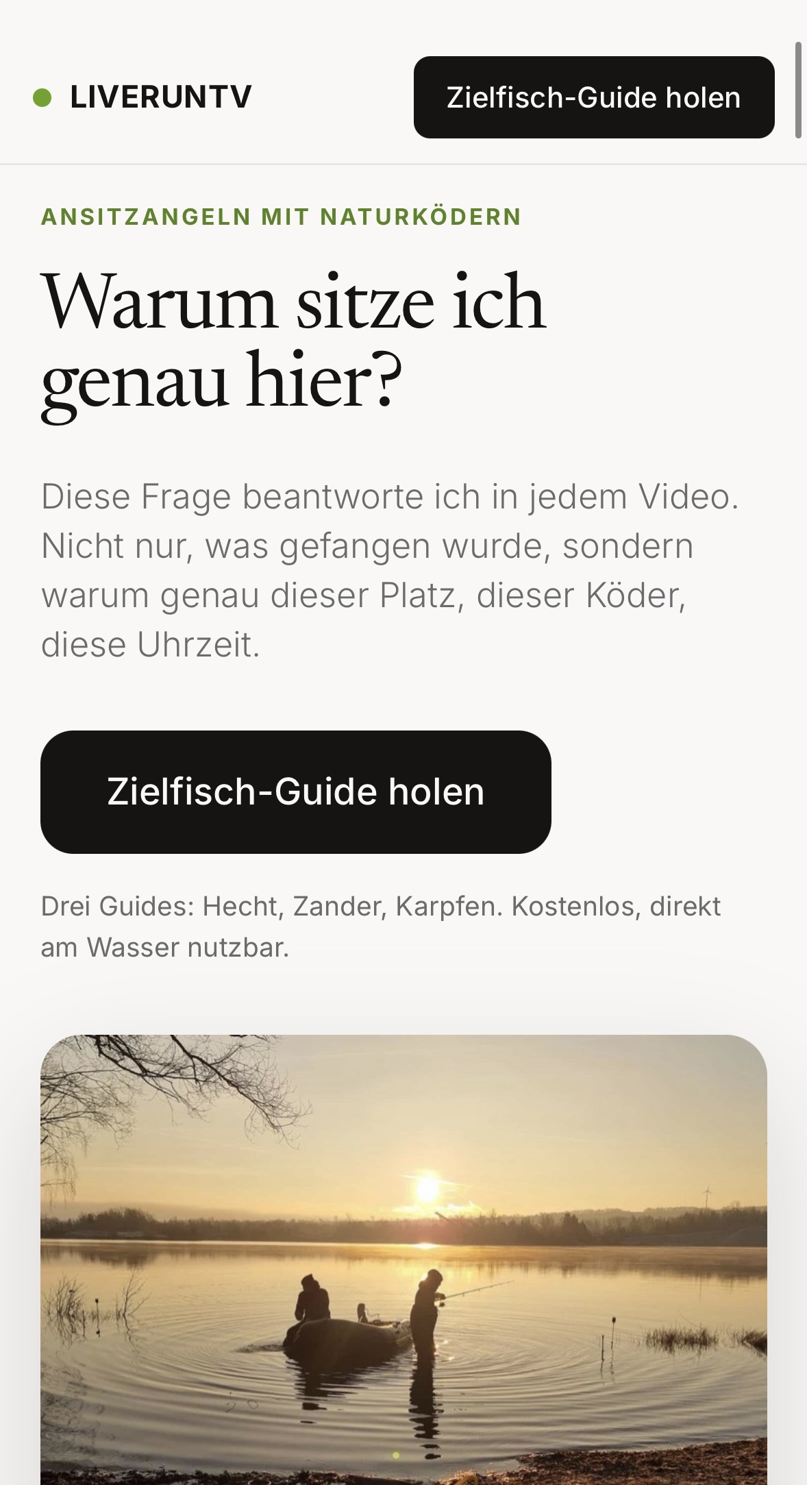 Website von LiverunTV
