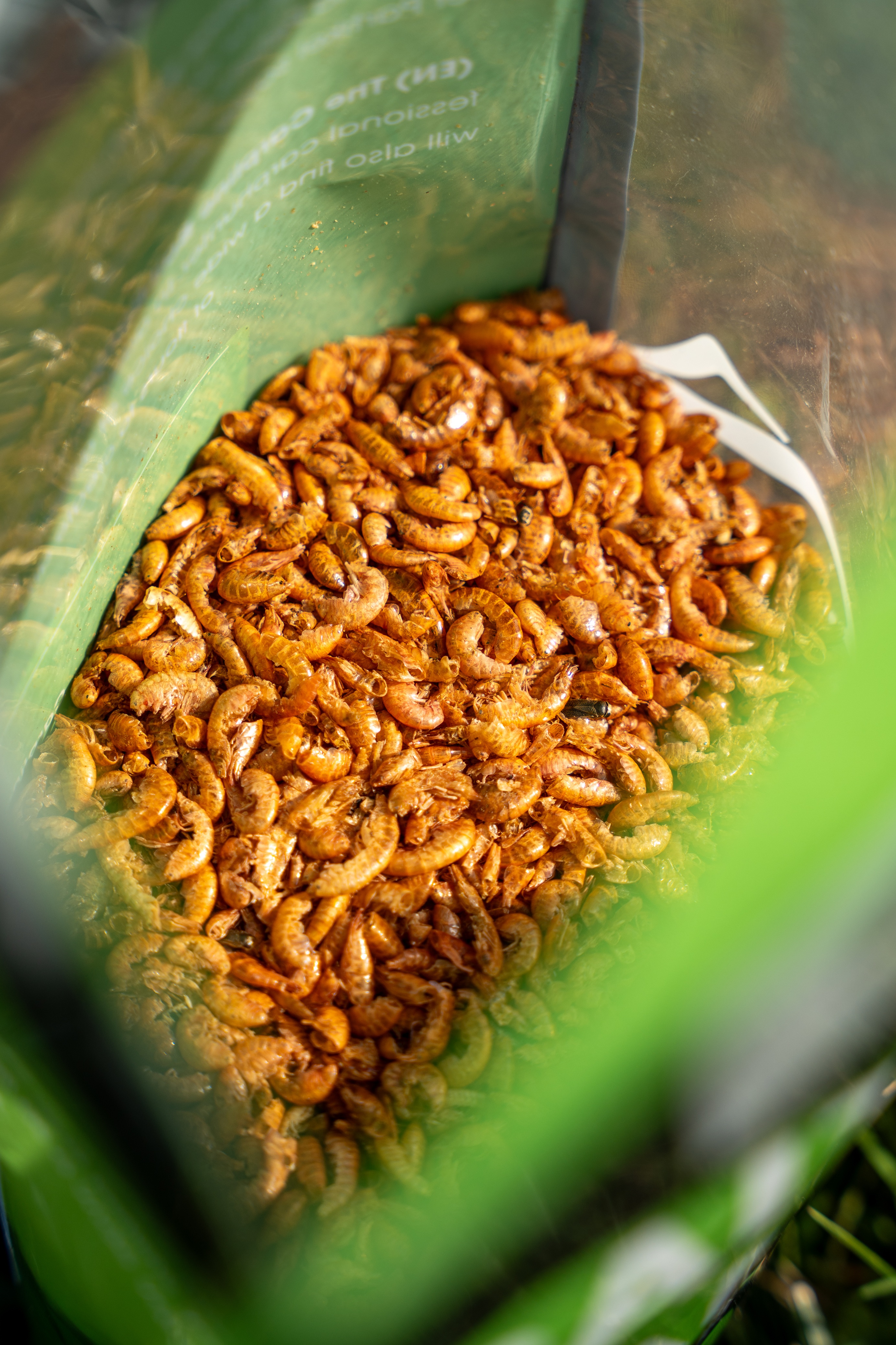 Insekten in der Tüte 