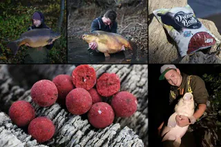 dreambaits_umami_faenge_und_boilies