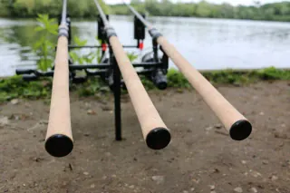 Nash Dwarf Rod with Cork Handle Angling Direct