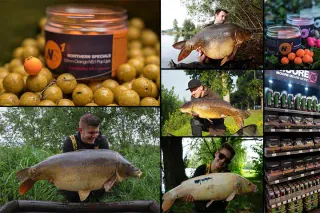CCMoore Boilies und Teamangler