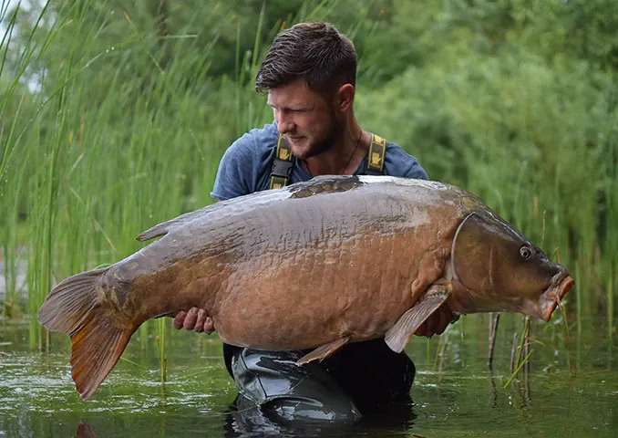 2 x über 30 Kilo in Deutschland: Sven Frank sorgt in England für Aufsehen!
