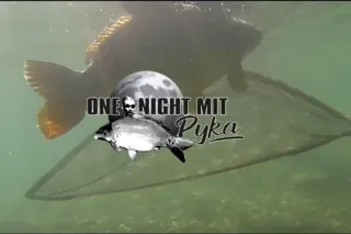 Fox präsentiert: One night mit Pyka
