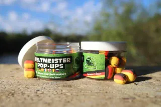 Weltmeister Pop Ups - German Edition exklusiv im Carpzilla-Shop erhältlich!