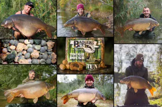 1_aufmacher_herbst_17_bb