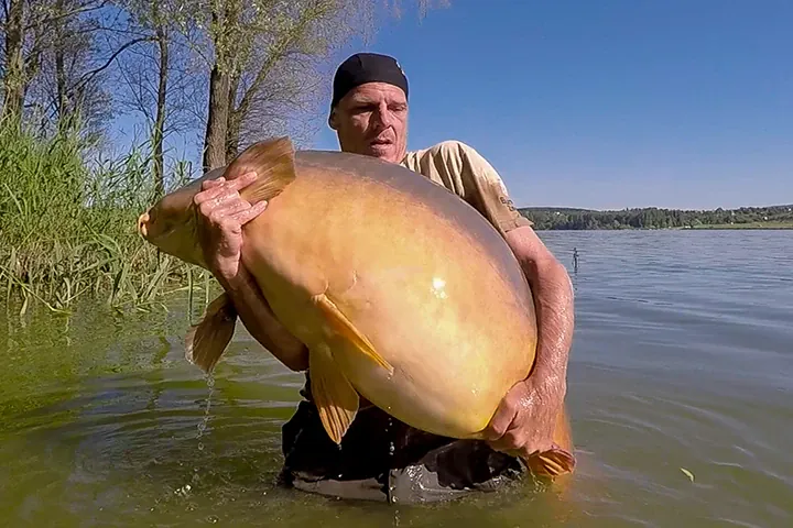 Ungarn oder Frankreich? Zsolt Bundik fängt Spiegler mit 37 Kilo
