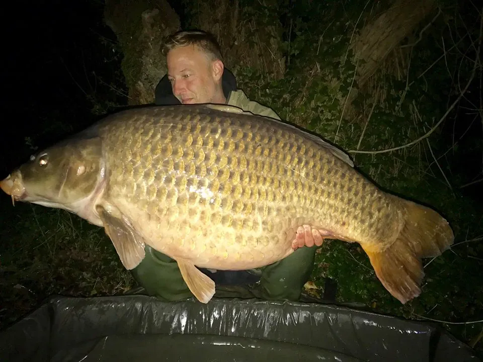 Trotz Wallerplage zum Traumfisch: 33,7 Kilo für Thomas Tschernich