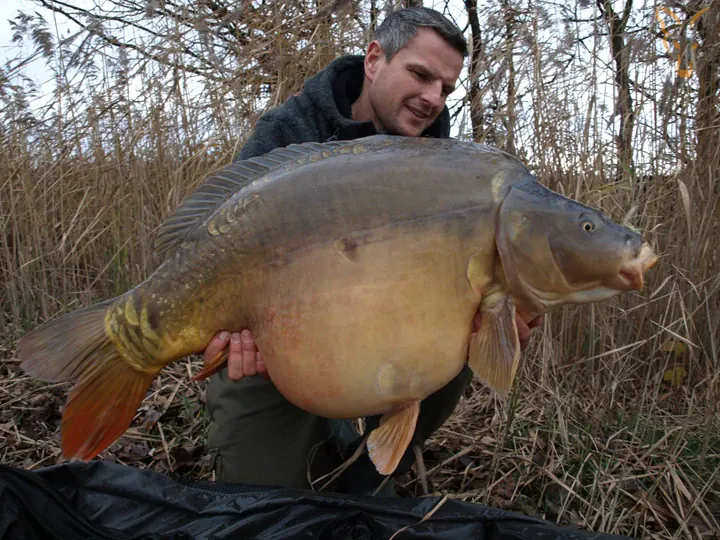 Steffen Hambsch ist neuer Fox Consultant 