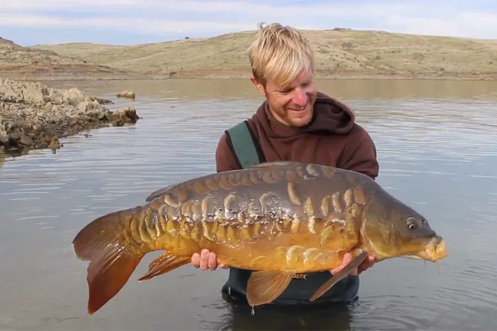 Carp Gypsies verzaubern mit neuem Video