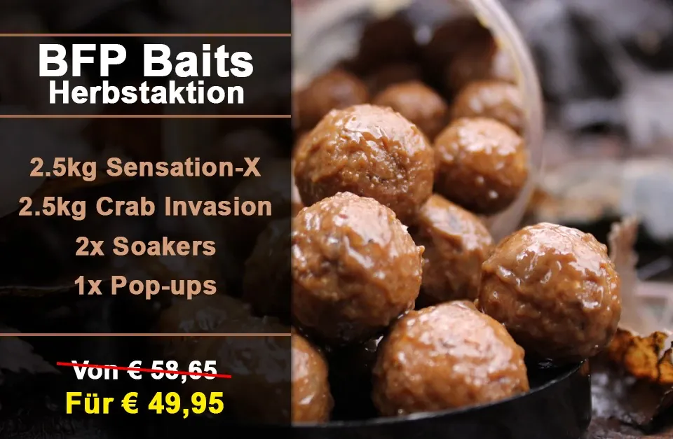 Zeit für Fischmehl: heiße Herbst-Angebote bei BFP-Baits
