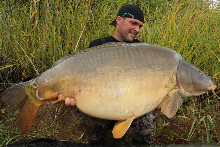 La Bomba: Romeo packt aus..!