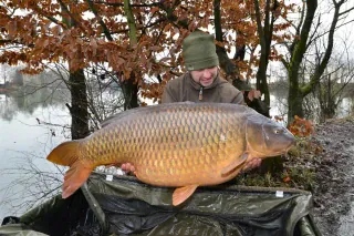 399kg-2-1626-x-1077_0