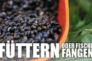 fuettern_oder_fische_fangen_2_0