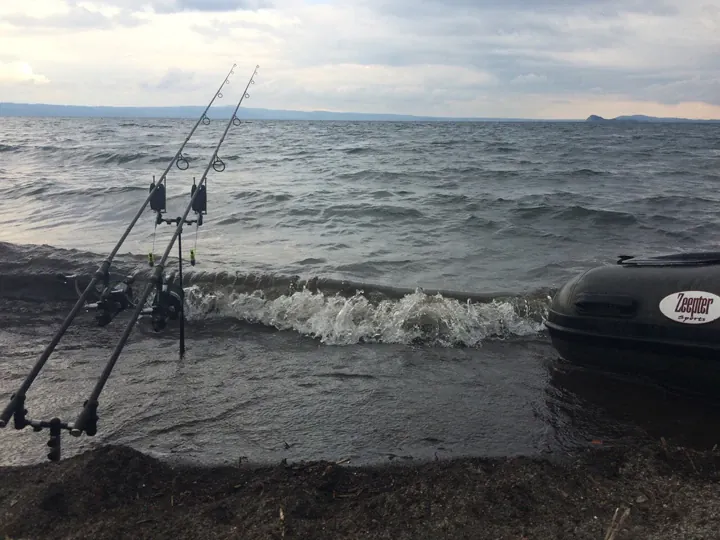 Team Tribal auf der WCC: Tag 7 - erst Unwetter, dann zweiter Fisch