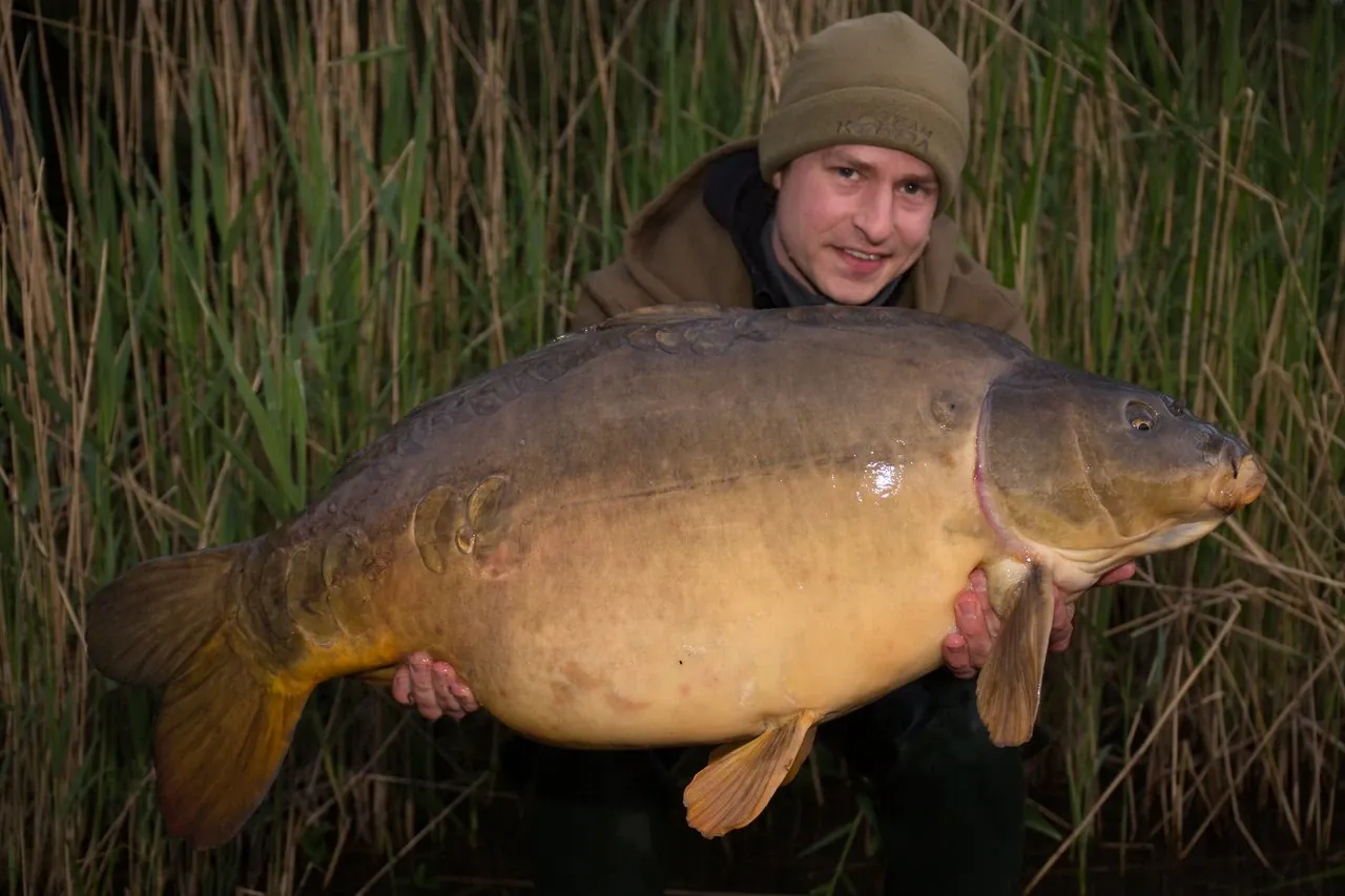 Universität portraitiert Paschmanns