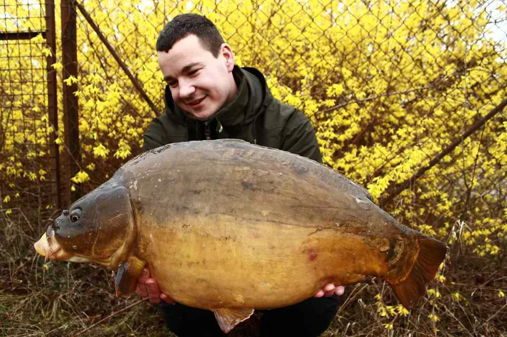 Neuer Mut für alte Ziele