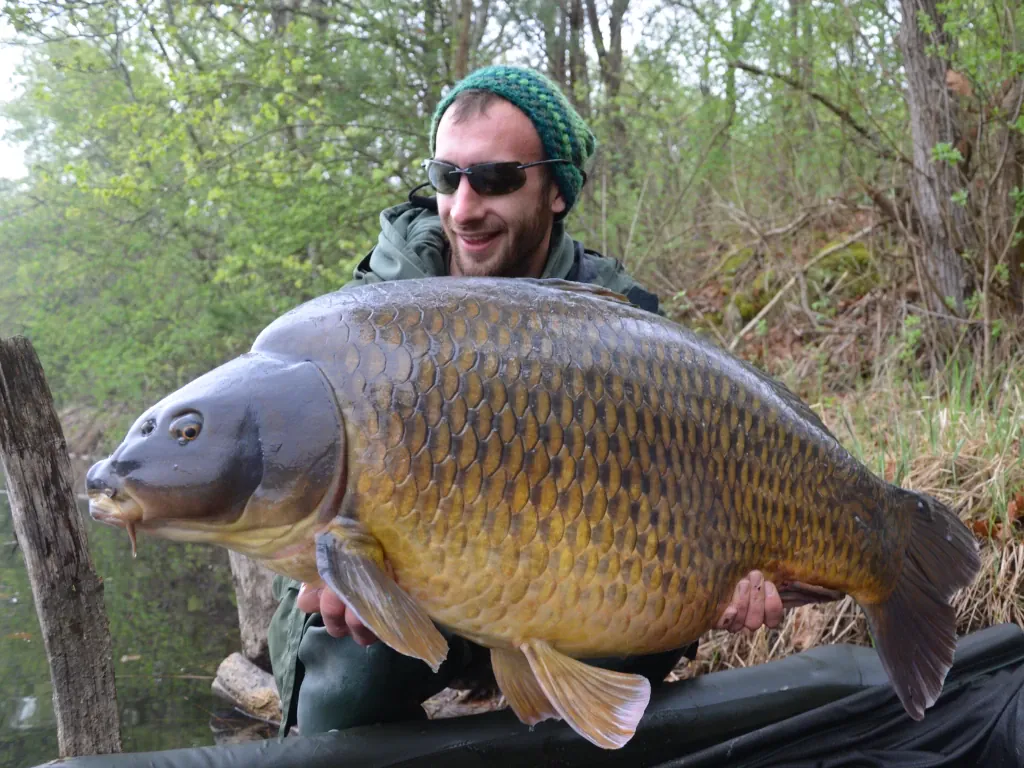 Naturebaits: Der Weg zum letzten Puzzleteil...