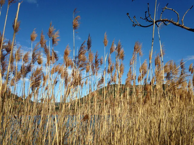 Alex steigt aus #1: Pleiten, Pech und Pannen