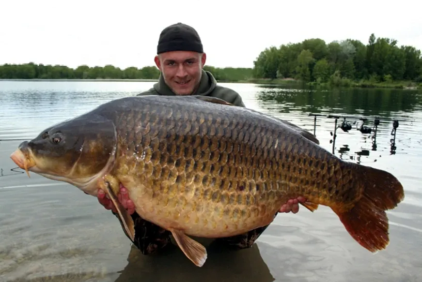 Family Affairs: 32 Kilo