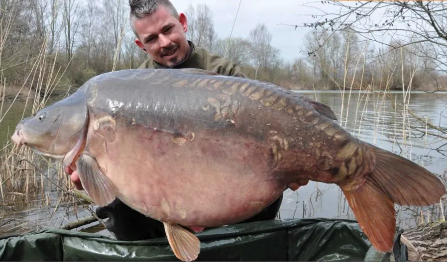 Meik Pyka: Passion Karpfenangeln
