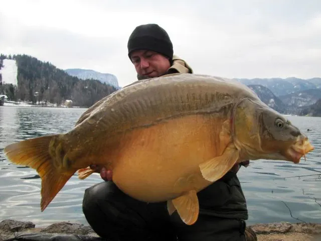 Die letzten Wintergrüße