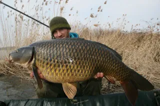 Björn Brockmann, Scale