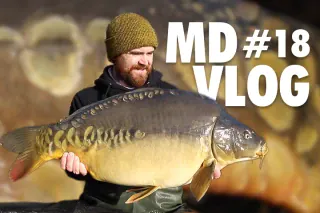 MD VLOG #18.