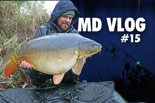 MD Vlog #15: Boilie vs. Mais