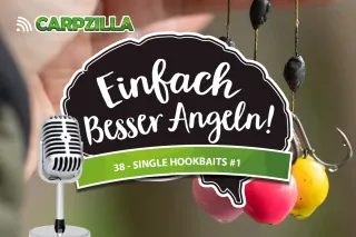 Einfach besser Angeln #38 - Single Hookbaits clever einsetzen Teil 1