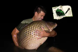 Was ist eigentlich los bei Keen Carp? István Orbán im Interview