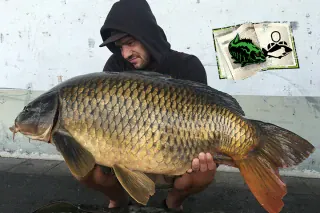 Alex Schneider mit Schuppenkarpfen aus dem Kanal