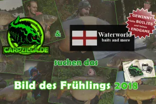 Carpzilla Aktion Bild des Frühlings 2018