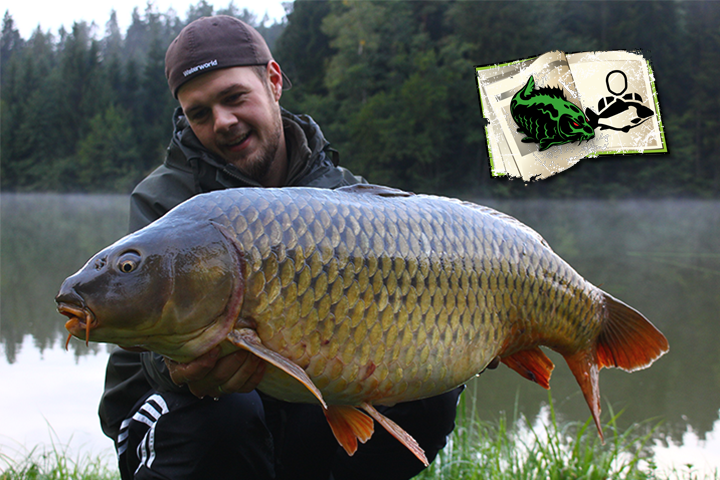 Christian Protzer Herbstbeginn in der Steiermark CARPZILLA Dein