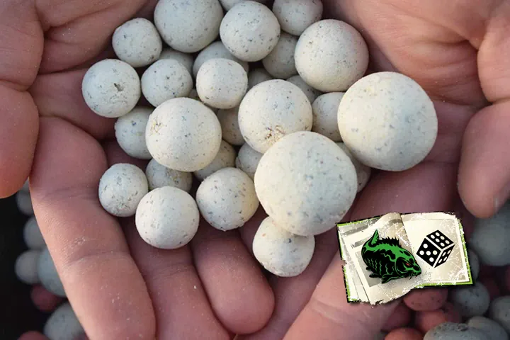 Testangler gesucht: Baitlounge verlost Diffy Size Boilies