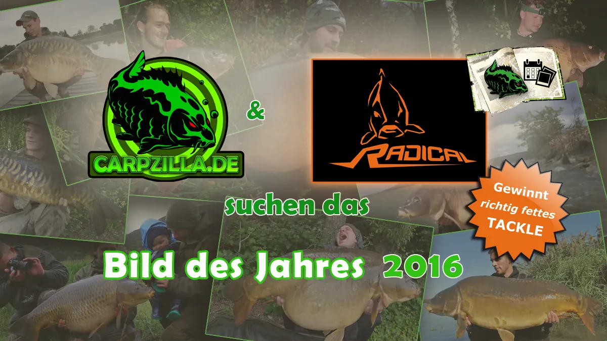 Bild des Jahres 2016: die Top 50!