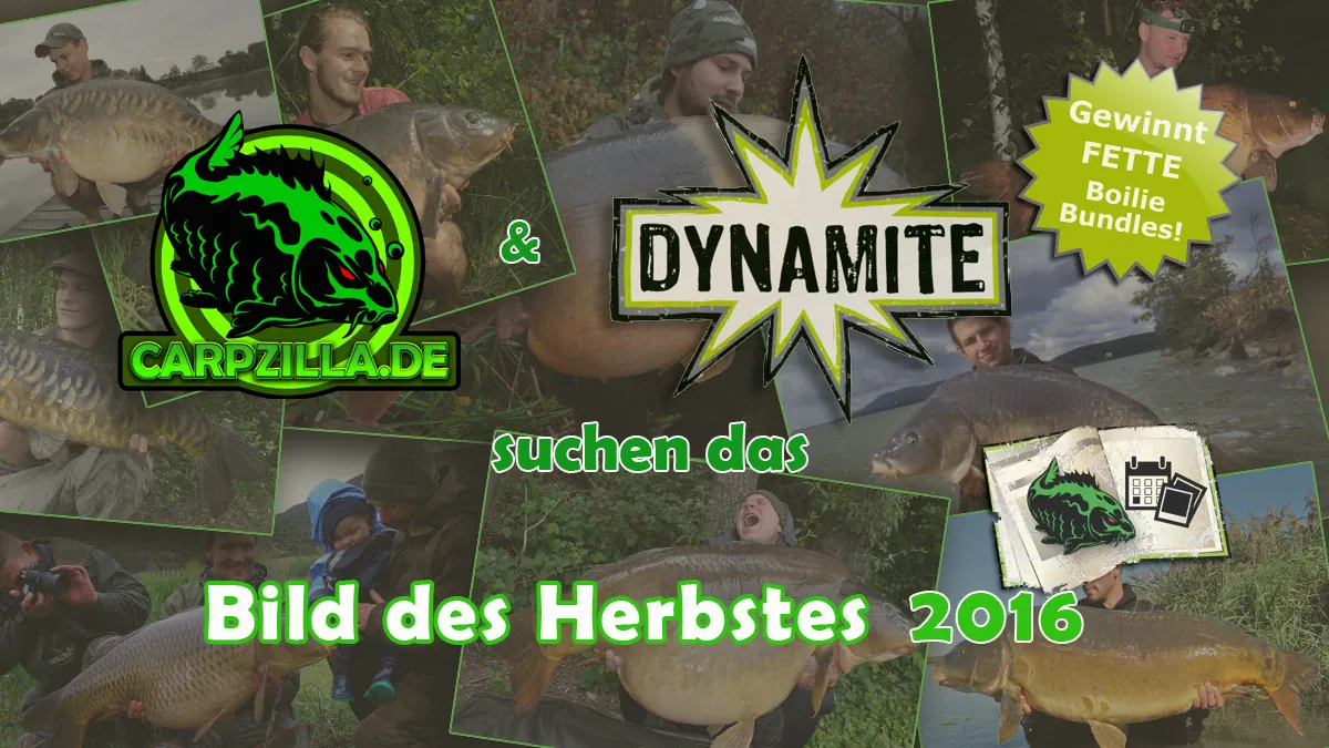 1_aufmacher_bild_des_monats_herbstes_2016l