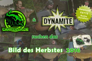 1_aufmacher_bild_des_monats_herbstes_2016l