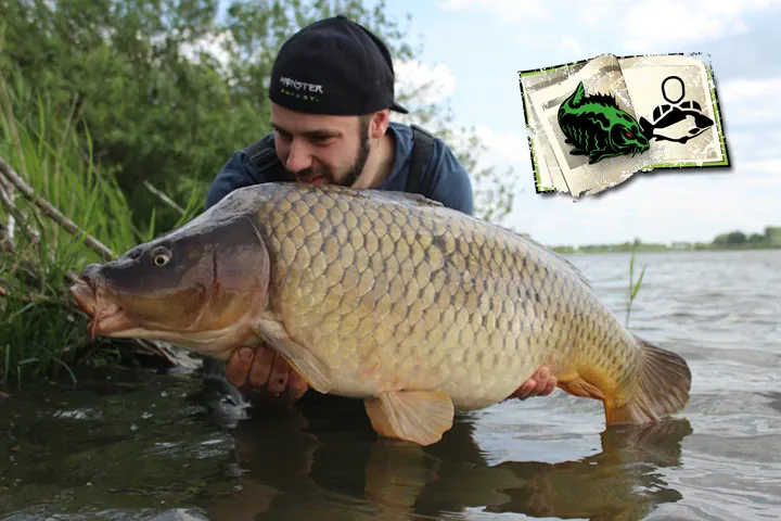 Jeroen und Bas: Zurück am Secret River