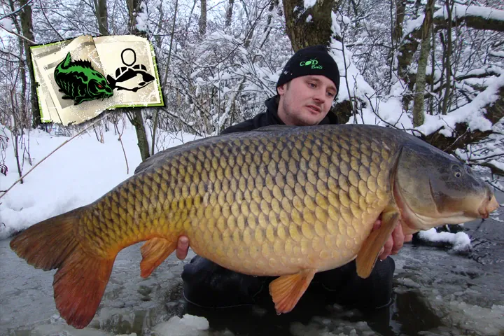 Dennis Janssen: Der Traum vom Schnneekarpfen