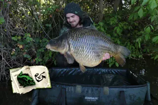 1_haertetest_starbaits_matte_aufmacher_0