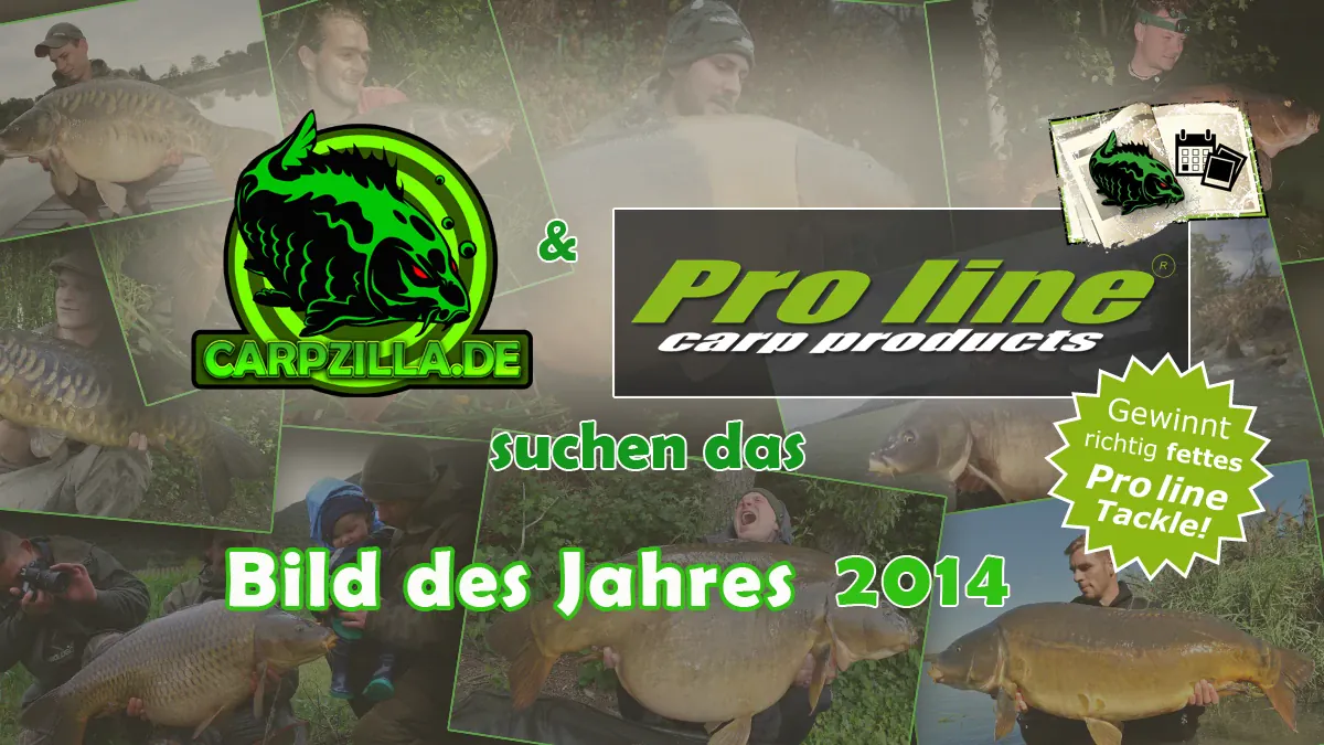 Aktion: Bild des Jahres 2014