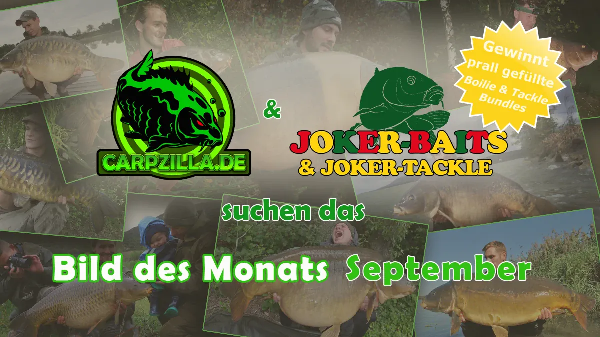 Bild des Monats September: die Top 10